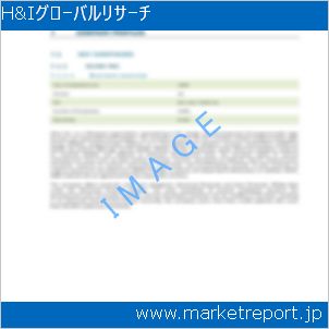 市場と産業調査レポートのイメージ